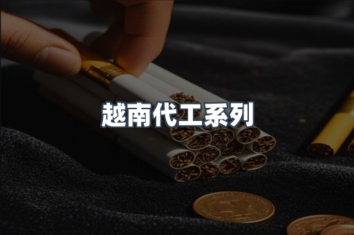 越南代工系列